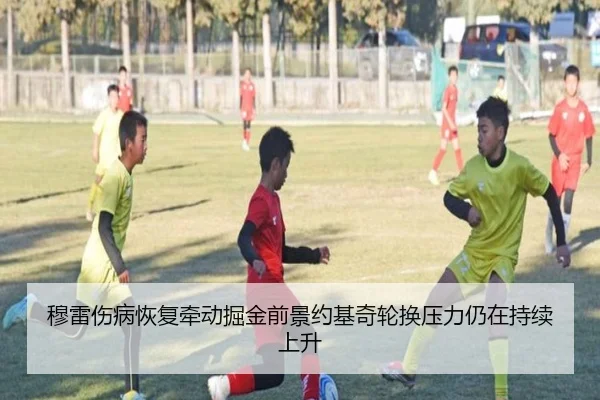 穆雷伤病恢复牵动掘金前景约基奇轮换压力仍在持续上升